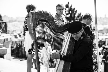 instrumenty strunowe - harfa